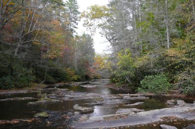Abrams Creek