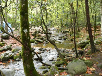 The stream after 12 hrs. of a steady rain
