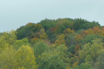 Looking out the window on Highway 321