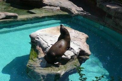 Sunbathing