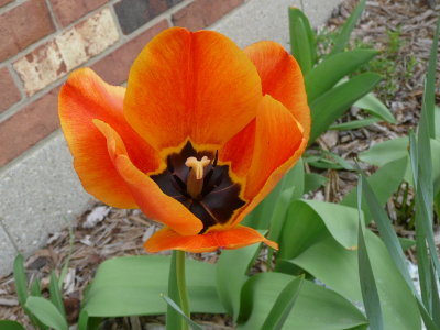 P1000727.JPG