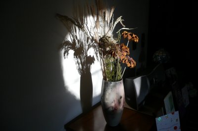 Morning wonder
