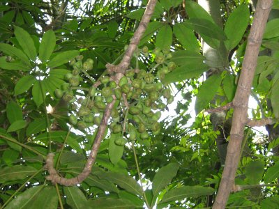 IMG_0646.JPG