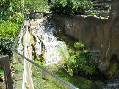 IMG_0650.JPG