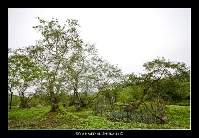 View from Athoom area