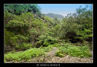 View from Athoom area