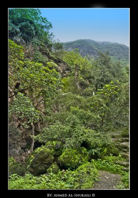 View from Athoom area