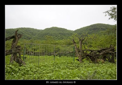 View from Athoom area