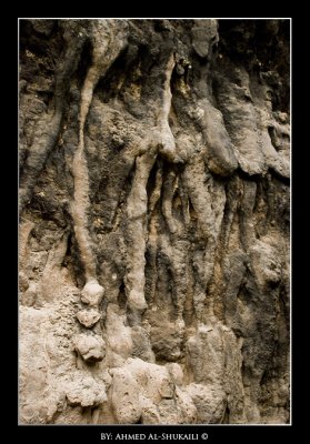 Rocks formation in Sahalnut - Salalah