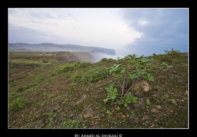 Aftelkoot rocky beach