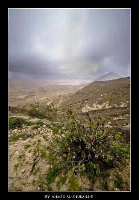 A view from the Road to Dhalkut - Salalah