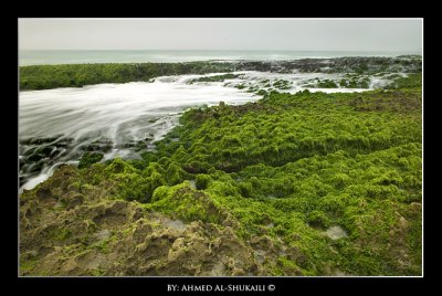 Maghsail Rocky Beach