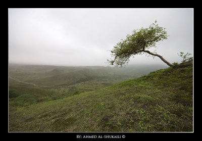 Green Hills in Salalah - Sahalnut