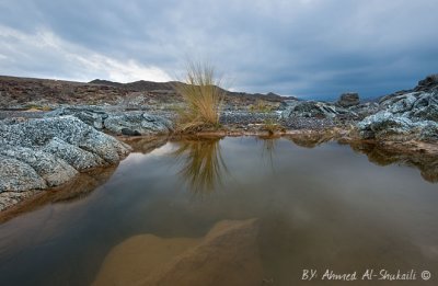 Wadi Al-Khoudh (Sunset)