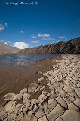 Dima Wa Taieen