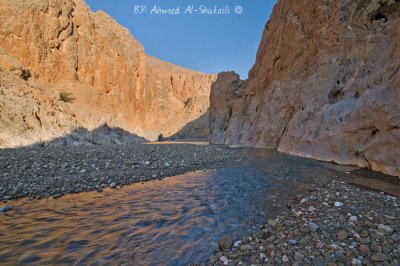 Dima Wa Taieen