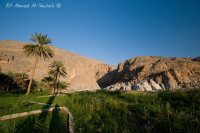 Farms from Taieen