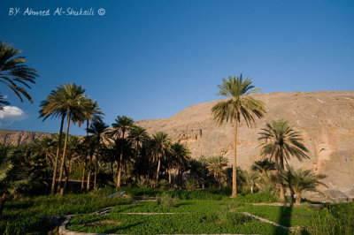 Farms from Taieen