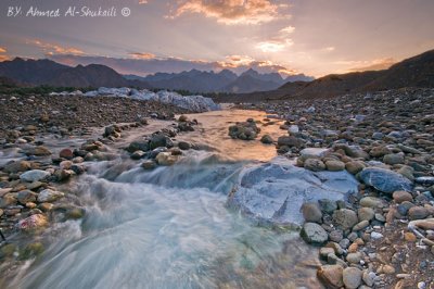 Symphony of Nature