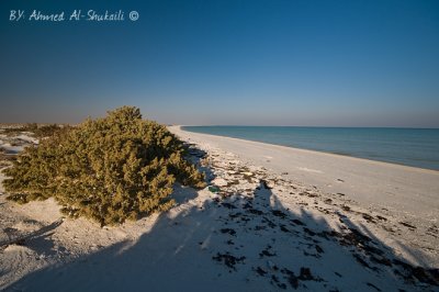 Barr Al-Hekman  - Beautiful Beach