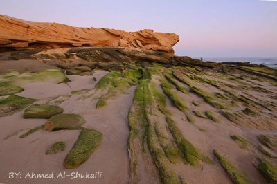 Ras Ruwais Beach