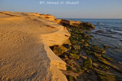 Waves of Sands - Ras Ruwais