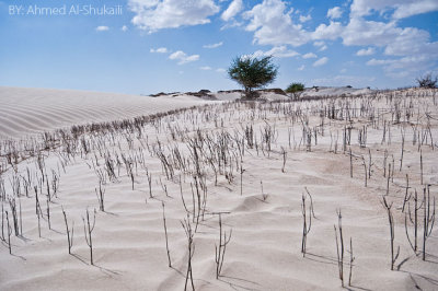 Mahoot White Sands