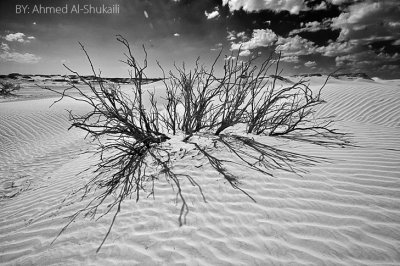 Mahoot White Sands