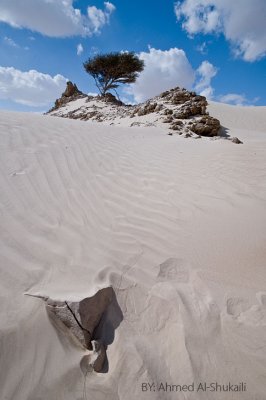 Mahoot White Sands