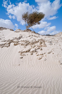 Mahoot White Sands