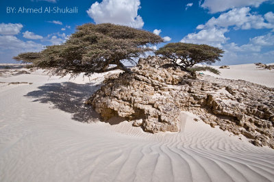 Mahoot White Sands