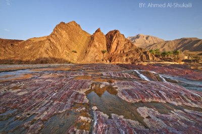 Lines From Nature - Wadi Sabt