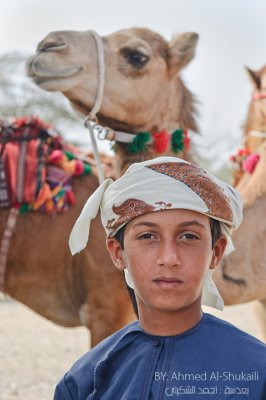 Seba'a and his camel