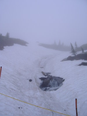 DSCF2487.JPG