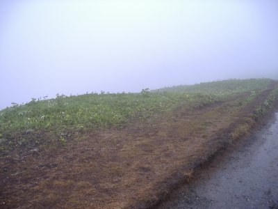 DSCF2490.JPG