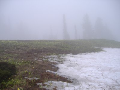 DSCF2492.JPG