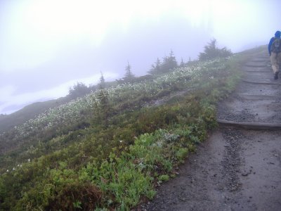 DSCF2494.JPG