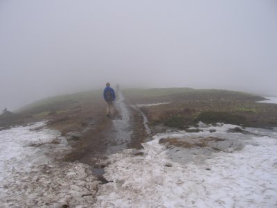 DSCF2495.JPG