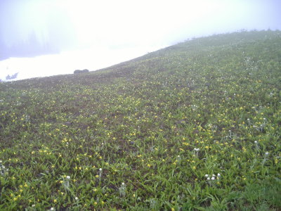 DSCF2496.JPG
