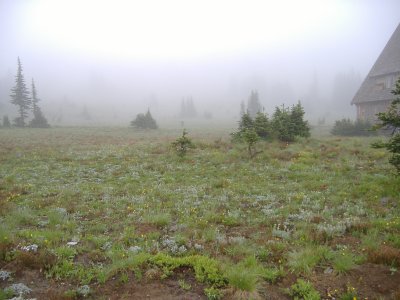 DSCF2506.JPG