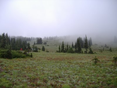 DSCF2512.JPG