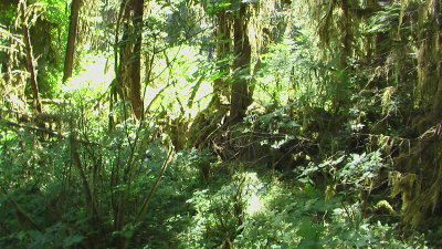 IMGA0490.JPG
