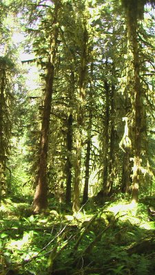 IMGA0502.JPG