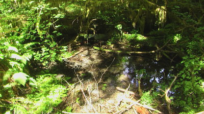 IMGA0518.JPG