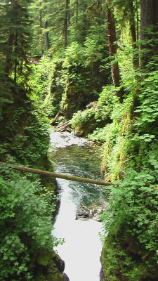 IMGA0559.JPG