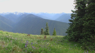 IMGA0589.JPG