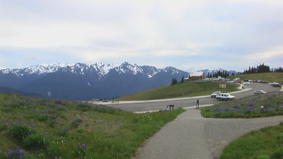 IMGA0590.JPG