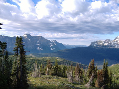 g3/98/767198/3/101884902.I5iGAyar.jpg