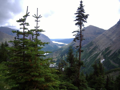 DSCF2946.JPG