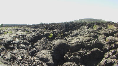 IMGA0810.JPG
